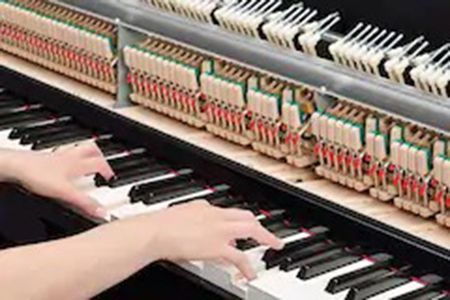 Music City – Tổng Kho Piano, Guitar, Organ | Dịch Vụ Giáo Dục Âm Nhạc