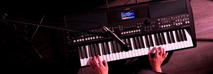 Music City – Tổng Kho Piano, Guitar, Organ | Dịch Vụ Giáo Dục Âm Nhạc