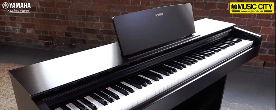 Music City – Tổng Kho Piano, Guitar, Organ | Dịch Vụ Giáo Dục Âm Nhạc