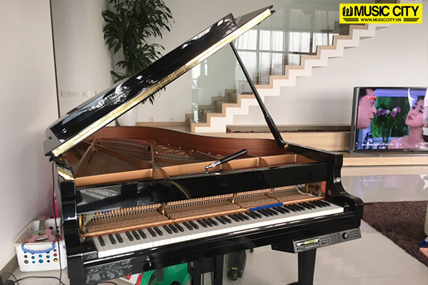 Music City – Tổng Kho Piano, Guitar, Organ | Dịch Vụ Giáo Dục Âm Nhạc