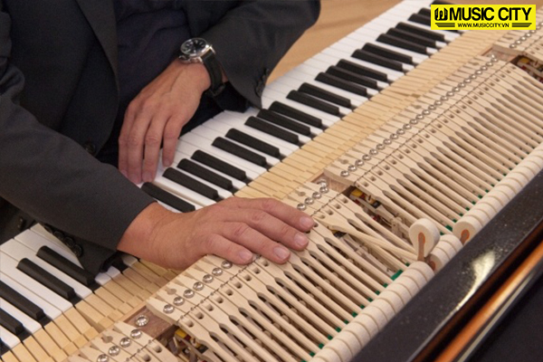 Music City – Tổng Kho Piano, Guitar, Organ | Dịch Vụ Giáo Dục Âm Nhạc