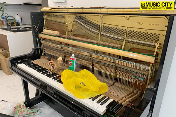 Music City – Tổng Kho Piano, Guitar, Organ | Dịch Vụ Giáo Dục Âm Nhạc