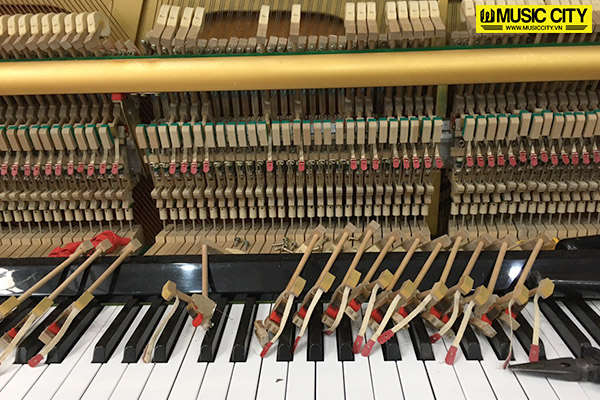 Music City – Tổng Kho Piano, Guitar, Organ | Dịch Vụ Giáo Dục Âm Nhạc