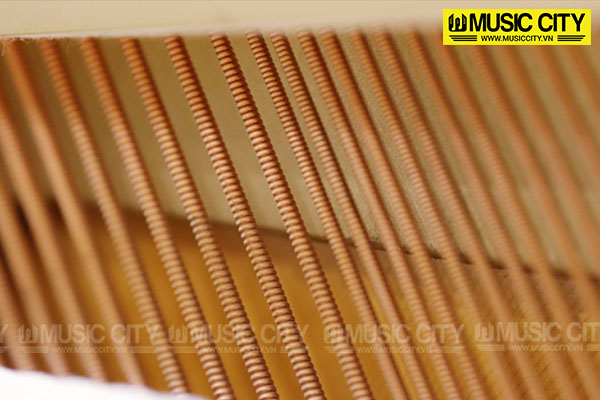 Music City – Tổng Kho Piano, Guitar, Organ | Dịch Vụ Giáo Dục Âm Nhạc
