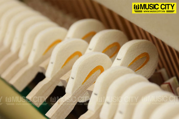 Music City – Tổng Kho Piano, Guitar, Organ | Dịch Vụ Giáo Dục Âm Nhạc