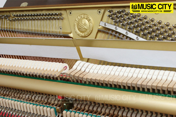 Music City – Tổng Kho Piano, Guitar, Organ | Dịch Vụ Giáo Dục Âm Nhạc