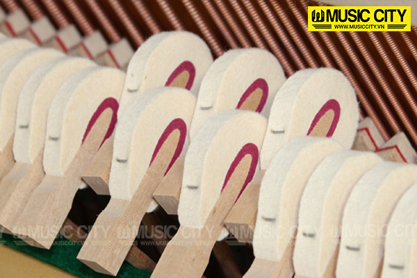 Music City – Tổng Kho Piano, Guitar, Organ | Dịch Vụ Giáo Dục Âm Nhạc