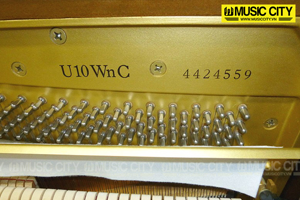 Music City – Tổng Kho Piano, Guitar, Organ | Dịch Vụ Giáo Dục Âm Nhạc