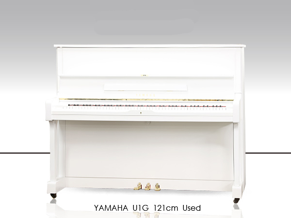 Music City – Tổng Kho Piano, Guitar, Organ | Dịch Vụ Giáo Dục Âm Nhạc