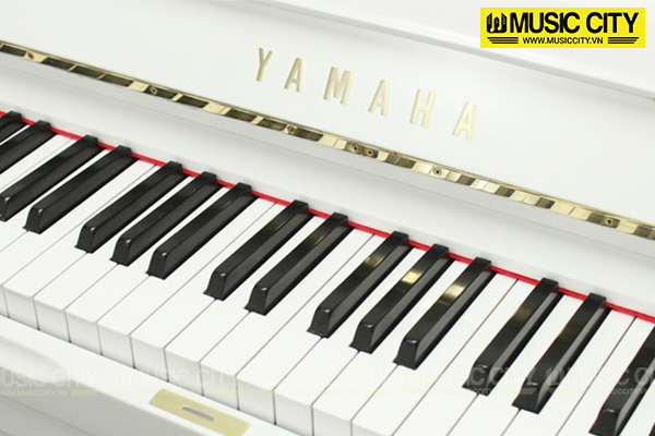 Music City – Tổng Kho Piano, Guitar, Organ | Dịch Vụ Giáo Dục Âm Nhạc