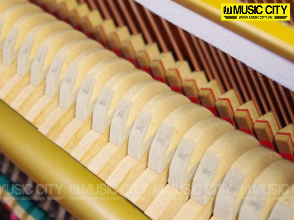 Music City – Tổng Kho Piano, Guitar, Organ | Dịch Vụ Giáo Dục Âm Nhạc