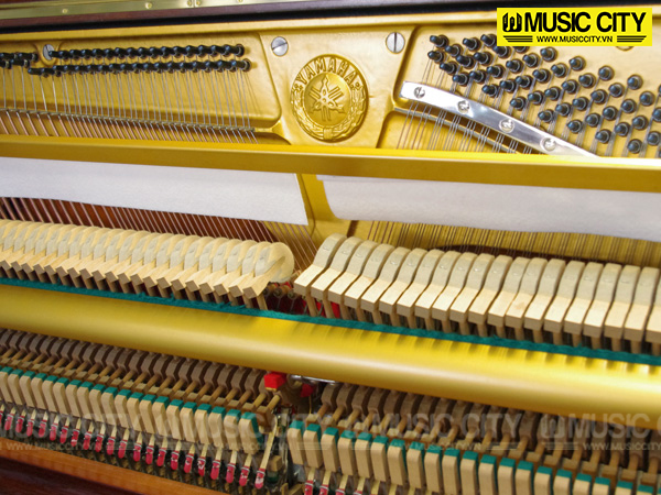 Music City – Tổng Kho Piano, Guitar, Organ | Dịch Vụ Giáo Dục Âm Nhạc
