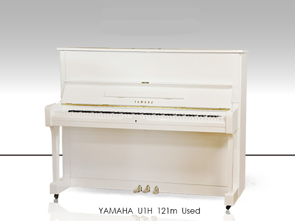 Music City – Tổng Kho Piano, Guitar, Organ | Dịch Vụ Giáo Dục Âm Nhạc