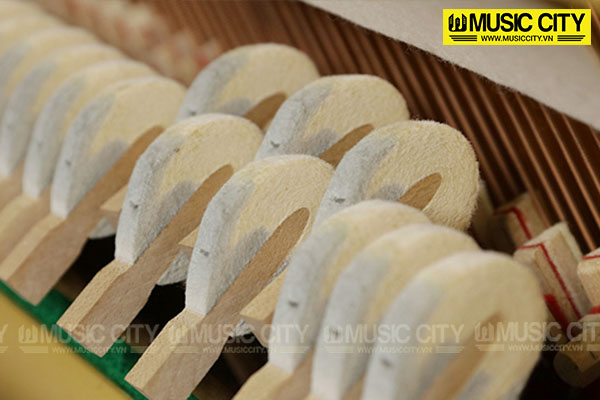 Music City – Tổng Kho Piano, Guitar, Organ | Dịch Vụ Giáo Dục Âm Nhạc