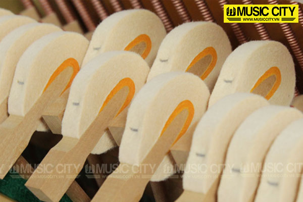 Music City – Tổng Kho Piano, Guitar, Organ | Dịch Vụ Giáo Dục Âm Nhạc