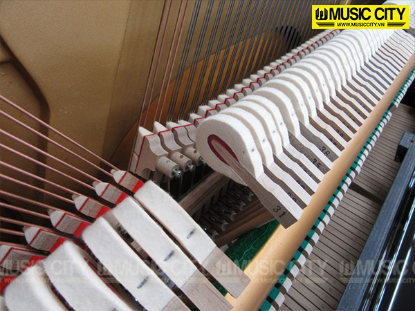 Music City – Tổng Kho Piano, Guitar, Organ | Dịch Vụ Giáo Dục Âm Nhạc