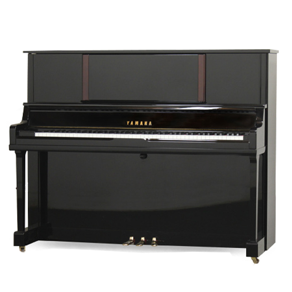 Music City – Tổng Kho Piano, Guitar, Organ | Dịch Vụ Giáo Dục Âm Nhạc
