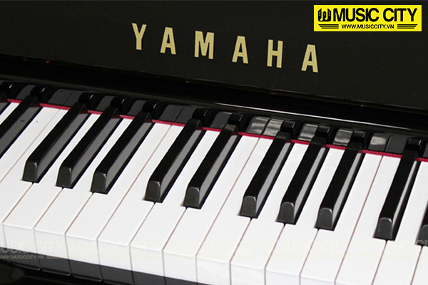Music City – Tổng Kho Piano, Guitar, Organ | Dịch Vụ Giáo Dục Âm Nhạc