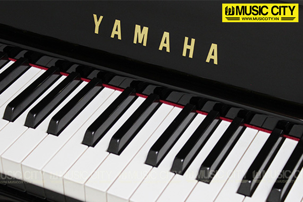 Music City – Tổng Kho Piano, Guitar, Organ | Dịch Vụ Giáo Dục Âm Nhạc