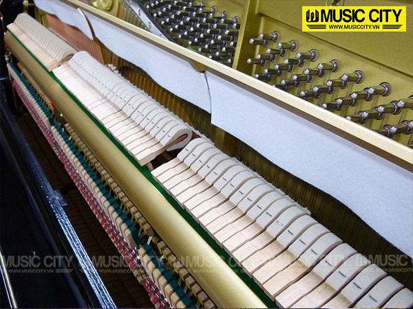 Music City – Tổng Kho Piano, Guitar, Organ | Dịch Vụ Giáo Dục Âm Nhạc