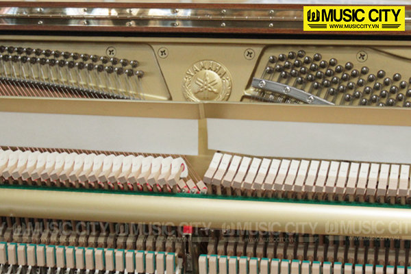 Music City – Tổng Kho Piano, Guitar, Organ | Dịch Vụ Giáo Dục Âm Nhạc