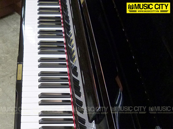 Music City – Tổng Kho Piano, Guitar, Organ | Dịch Vụ Giáo Dục Âm Nhạc