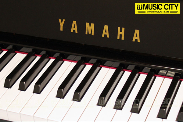 Music City – Tổng Kho Piano, Guitar, Organ | Dịch Vụ Giáo Dục Âm Nhạc