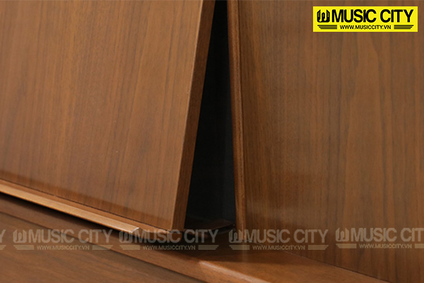 Music City – Tổng Kho Piano, Guitar, Organ | Dịch Vụ Giáo Dục Âm Nhạc