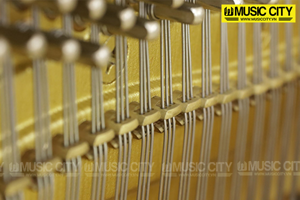Music City – Tổng Kho Piano, Guitar, Organ | Dịch Vụ Giáo Dục Âm Nhạc