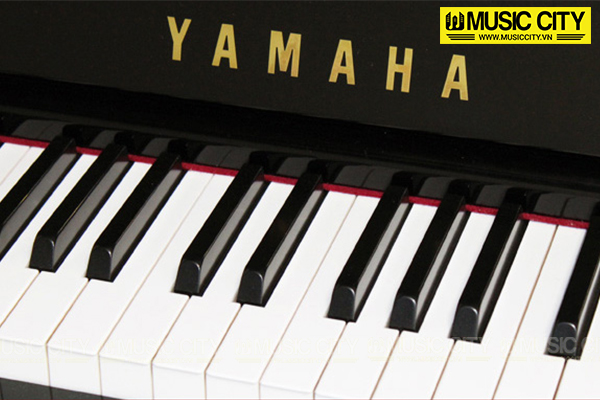 Music City – Tổng Kho Piano, Guitar, Organ | Dịch Vụ Giáo Dục Âm Nhạc