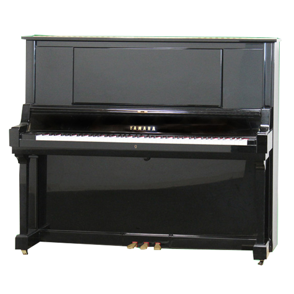 Music City – Tổng Kho Piano, Guitar, Organ | Dịch Vụ Giáo Dục Âm Nhạc