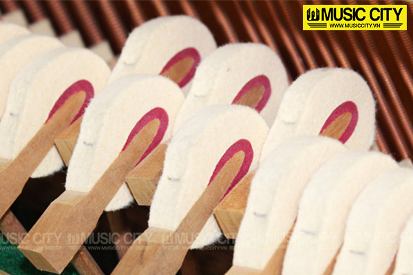 Music City – Tổng Kho Piano, Guitar, Organ | Dịch Vụ Giáo Dục Âm Nhạc