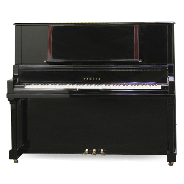 Music City – Tổng Kho Piano, Guitar, Organ | Dịch Vụ Giáo Dục Âm Nhạc