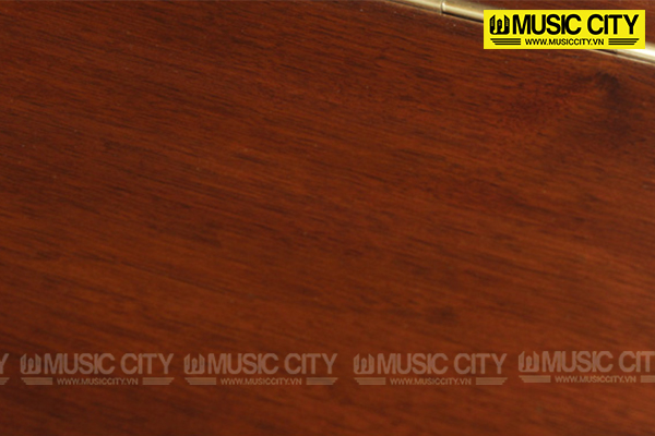 Music City – Tổng Kho Piano, Guitar, Organ | Dịch Vụ Giáo Dục Âm Nhạc