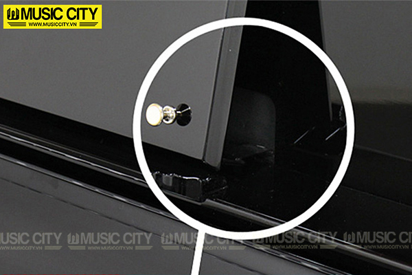 Music City – Tổng Kho Piano, Guitar, Organ | Dịch Vụ Giáo Dục Âm Nhạc