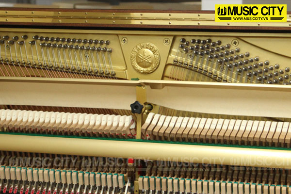 Music City – Tổng Kho Piano, Guitar, Organ | Dịch Vụ Giáo Dục Âm Nhạc