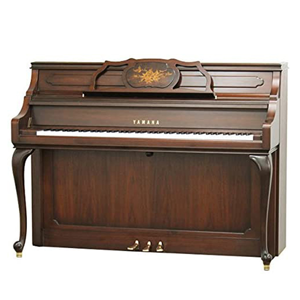 Music City – Tổng Kho Piano, Guitar, Organ | Dịch Vụ Giáo Dục Âm Nhạc
