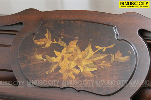 Music City – Tổng Kho Piano, Guitar, Organ | Dịch Vụ Giáo Dục Âm Nhạc