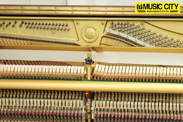 Music City – Tổng Kho Piano, Guitar, Organ | Dịch Vụ Giáo Dục Âm Nhạc