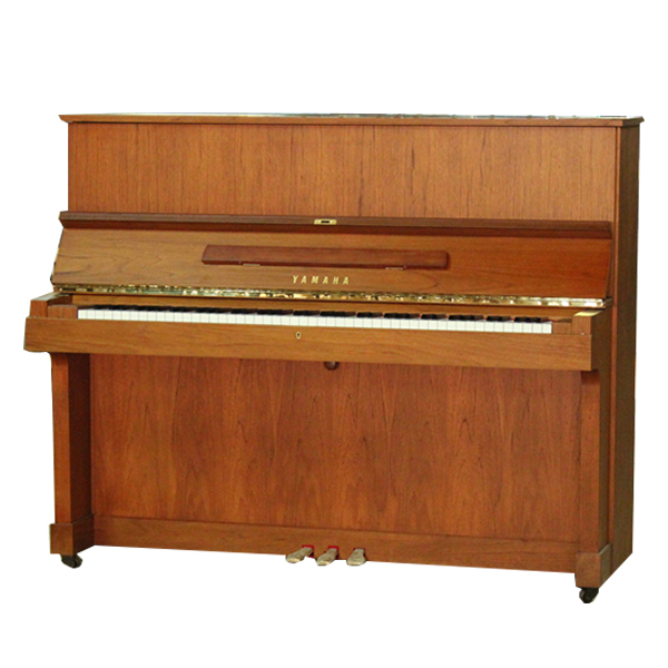Music City – Tổng Kho Piano, Guitar, Organ | Dịch Vụ Giáo Dục Âm Nhạc