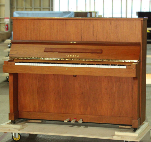 Music City – Tổng Kho Piano, Guitar, Organ | Dịch Vụ Giáo Dục Âm Nhạc