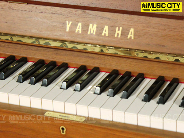 Music City – Tổng Kho Piano, Guitar, Organ | Dịch Vụ Giáo Dục Âm Nhạc