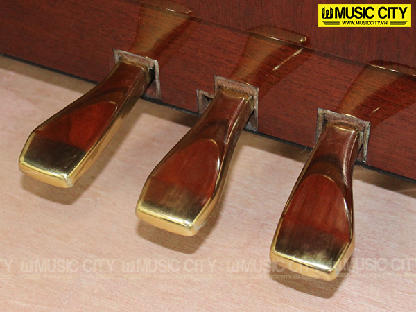 Music City – Tổng Kho Piano, Guitar, Organ | Dịch Vụ Giáo Dục Âm Nhạc