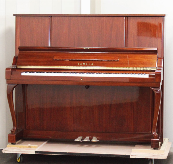 Music City – Tổng Kho Piano, Guitar, Organ | Dịch Vụ Giáo Dục Âm Nhạc
