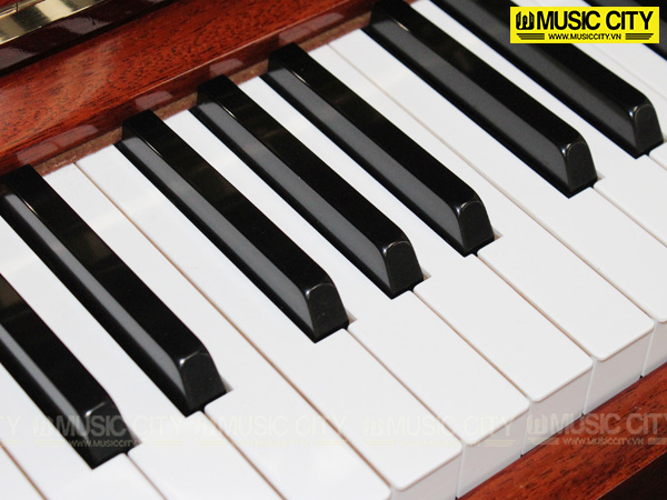Music City – Tổng Kho Piano, Guitar, Organ | Dịch Vụ Giáo Dục Âm Nhạc