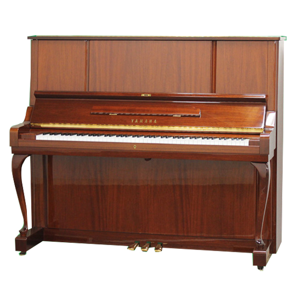 Music City – Tổng Kho Piano, Guitar, Organ | Dịch Vụ Giáo Dục Âm Nhạc