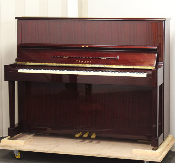 Music City – Tổng Kho Piano, Guitar, Organ | Dịch Vụ Giáo Dục Âm Nhạc