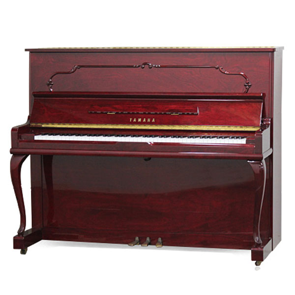 Music City – Tổng Kho Piano, Guitar, Organ | Dịch Vụ Giáo Dục Âm Nhạc