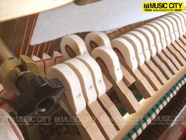 Music City – Tổng Kho Piano, Guitar, Organ | Dịch Vụ Giáo Dục Âm Nhạc