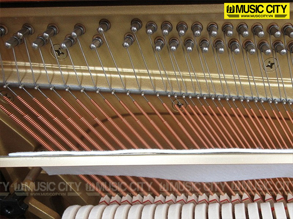 Music City – Tổng Kho Piano, Guitar, Organ | Dịch Vụ Giáo Dục Âm Nhạc